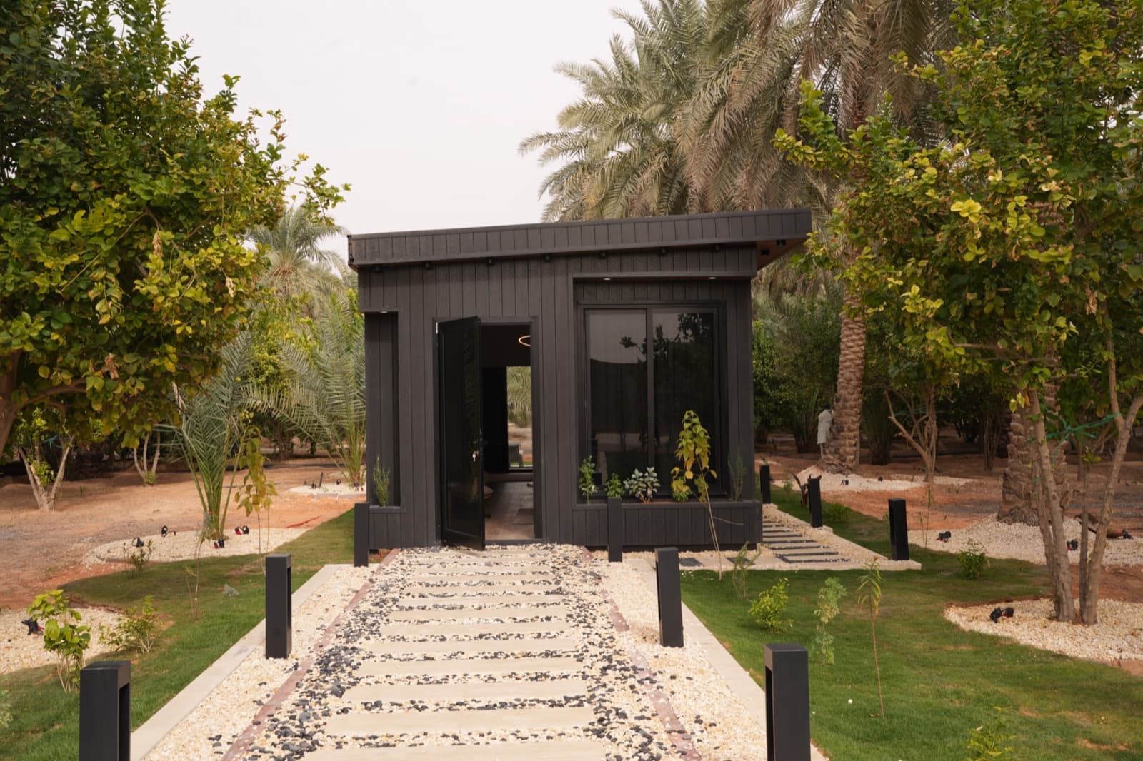 الأحساء