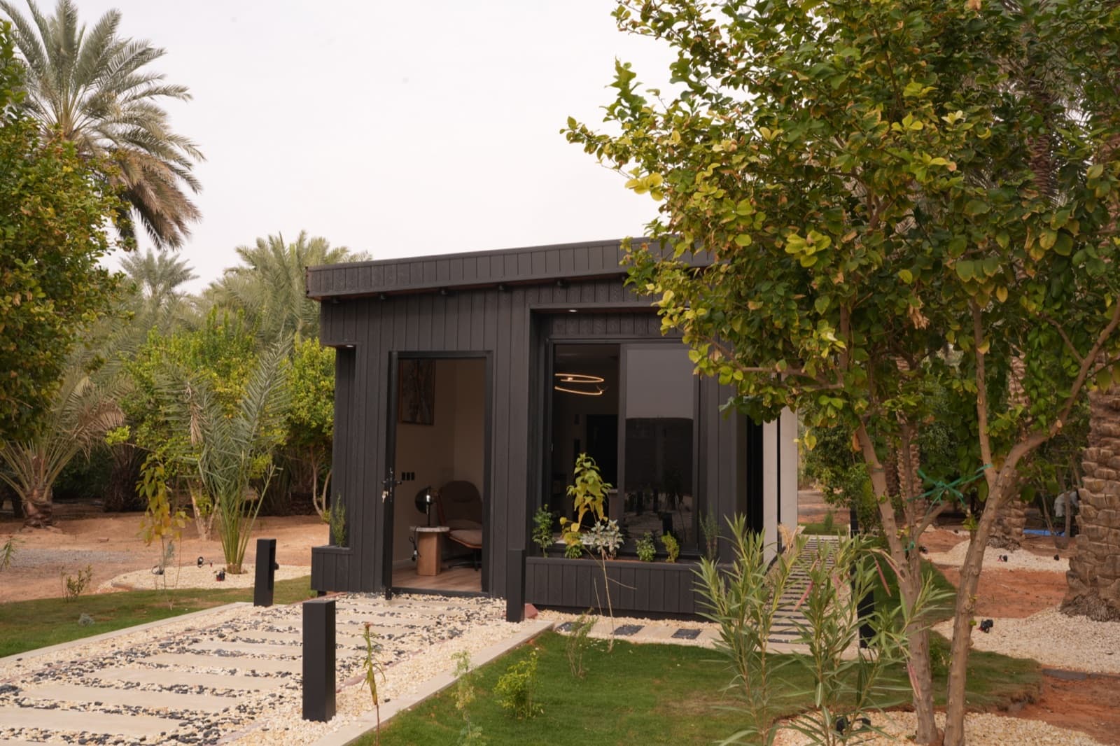 الأحساء